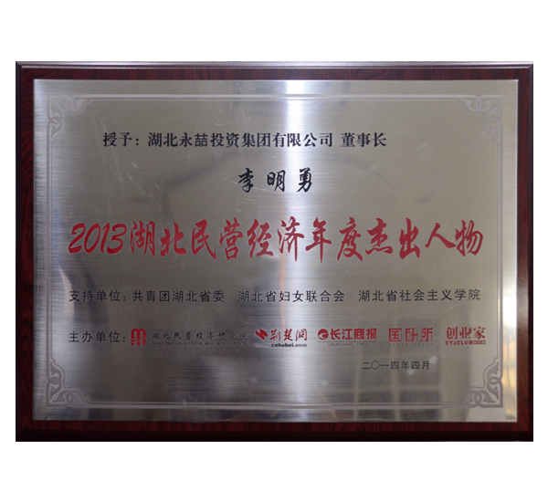 2013年湖北民營經濟年度杰出人物